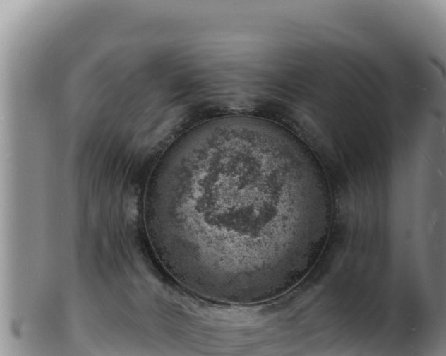 X0000103240032200809041057