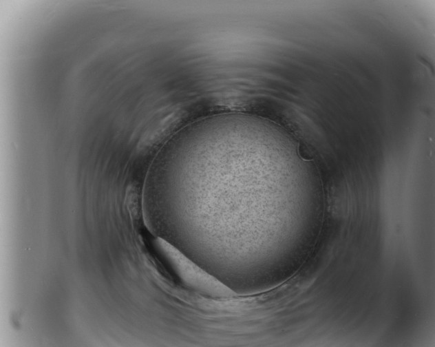 X0000103240036200809041057