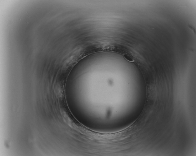 X0000103240039200809041056