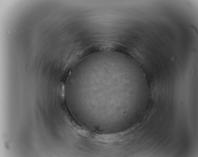 X0000103240041200809041056