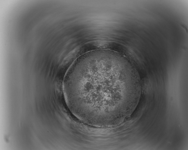 X0000103240044200809041056