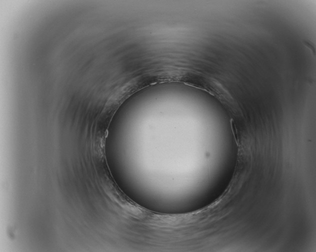 X0000103240045200809041056