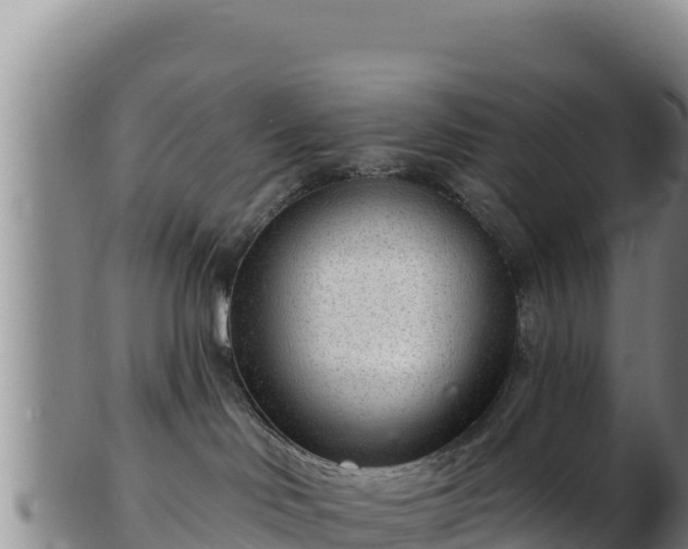 X0000103240046200809041056