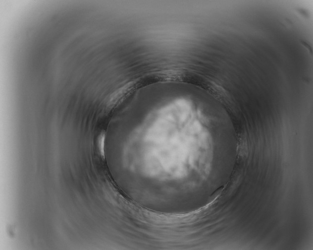 X0000103240047200809041056