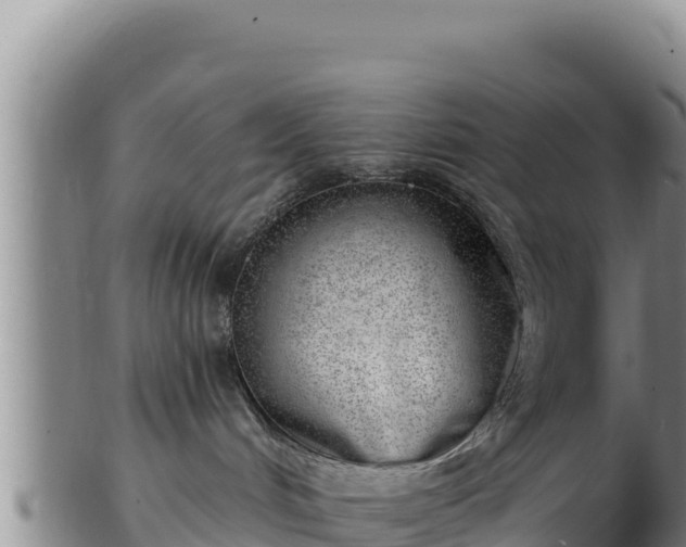 X0000103240048200809041056