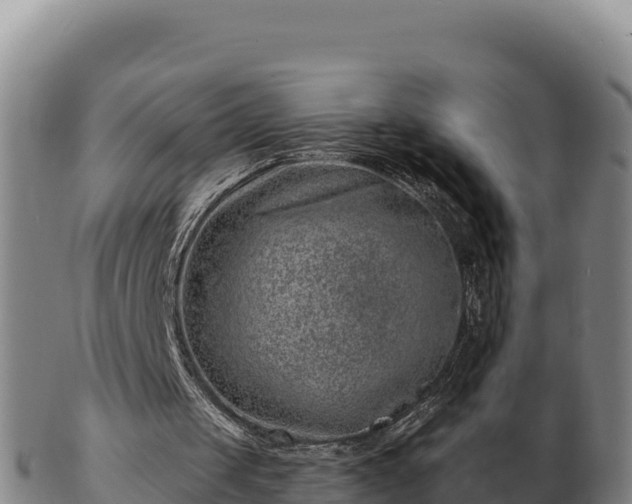 X0000103240049200809041056