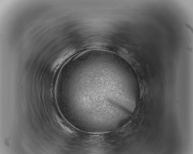 X0000103240050200809041056