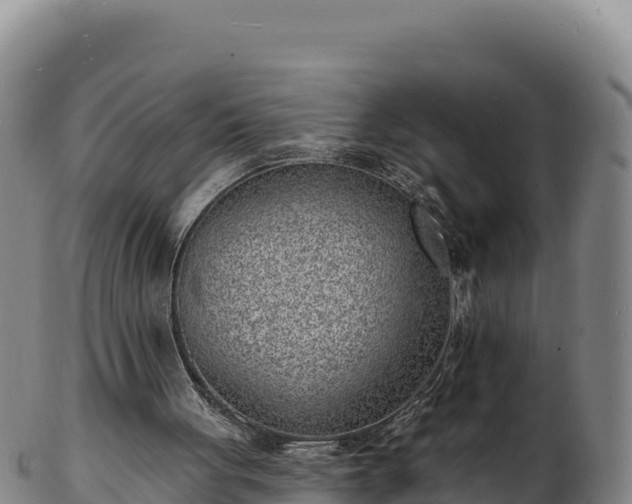 X0000103240051200809041056