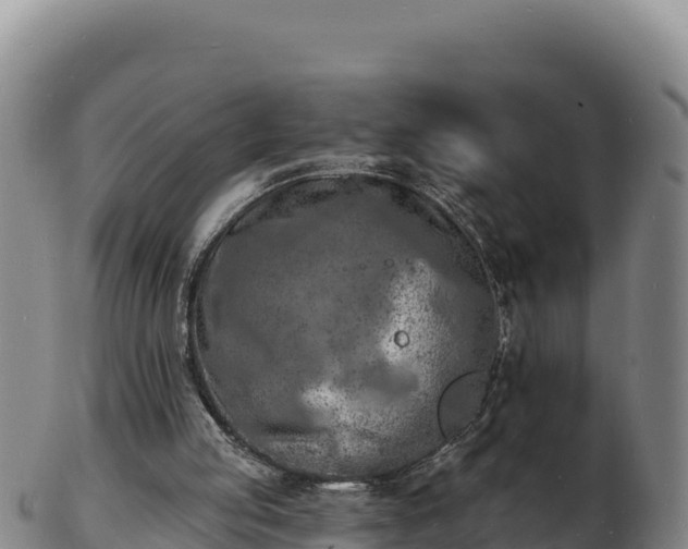 X0000103240053200809041056