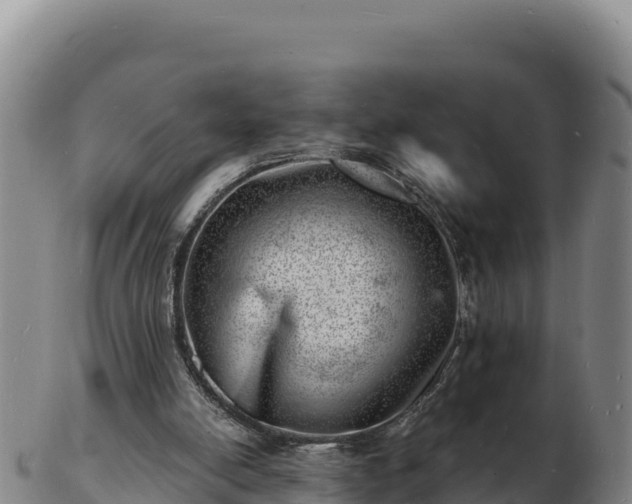 X0000103240054200809041056