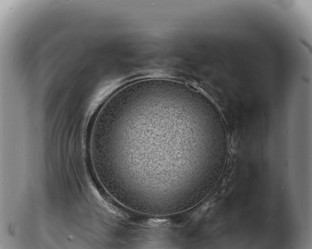 X0000103240055200809041056