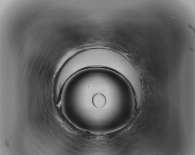 X0000103240056200809041056