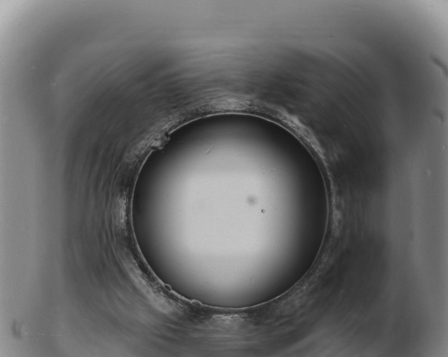 X0000103240057200809041056