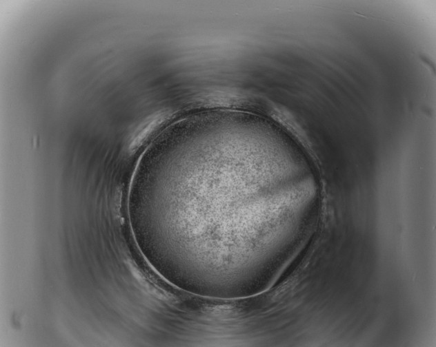 X0000103240058200809041056