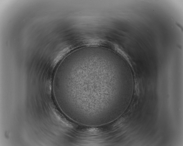 X0000103240059200809041056