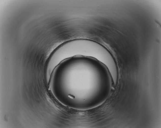 X0000103240060200809041056