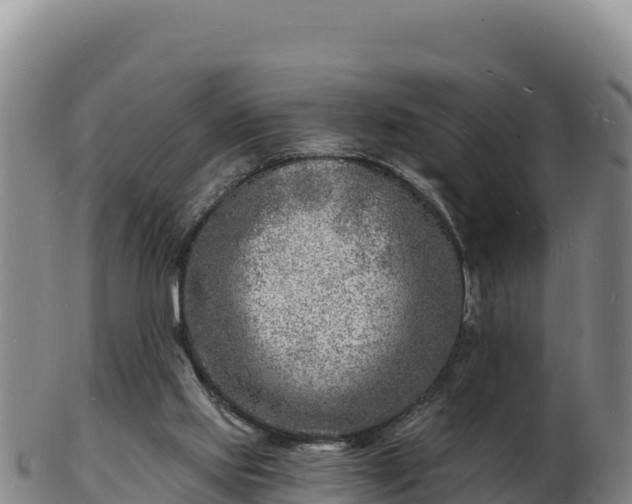 X0000103240061200809041056