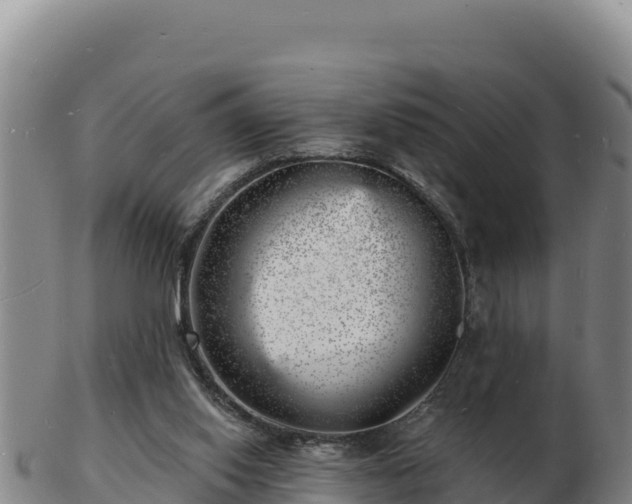 X0000103240062200809041056