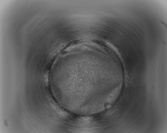 X0000103240065200809041056