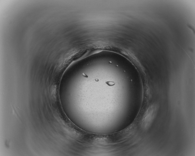 X0000103240066200809041056