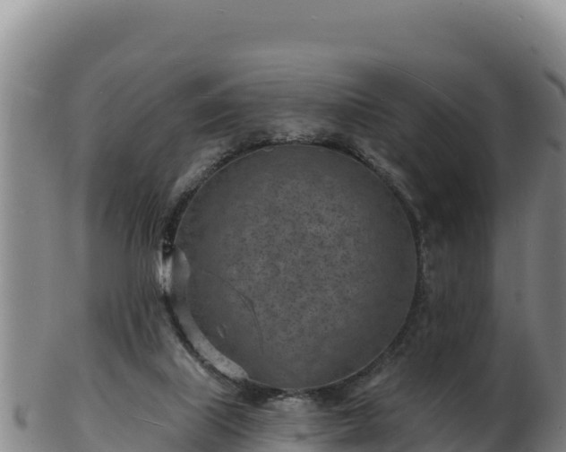 X0000103240067200809041056