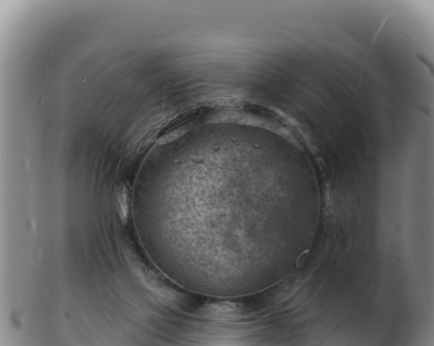 X0000103240069200809041056