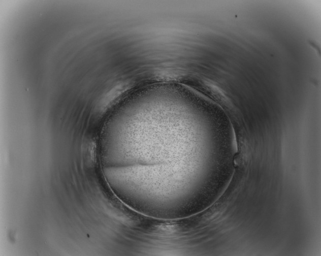 X0000103240071200809041056