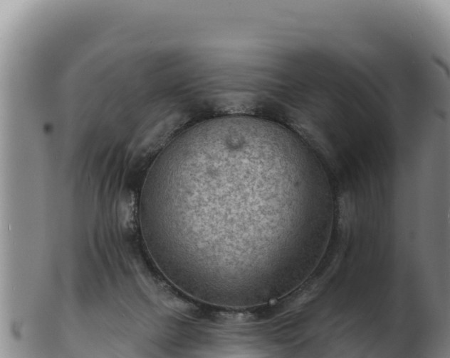 X0000103240073200809041056