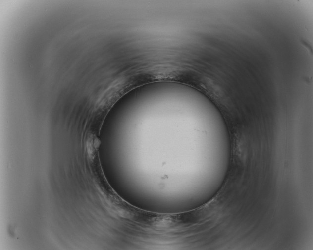 X0000103240074200809041056