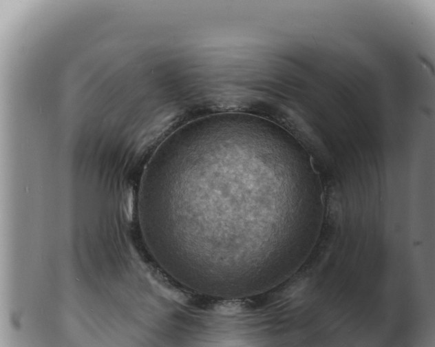 X0000103240076200809041056