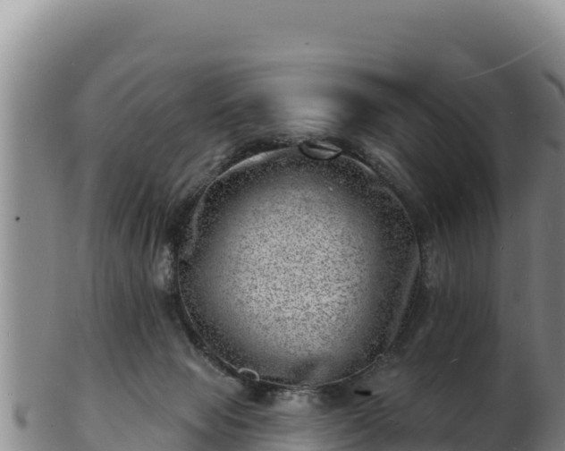 X0000103240077200809041056