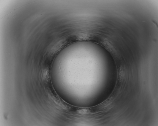 X0000103240079200809041056