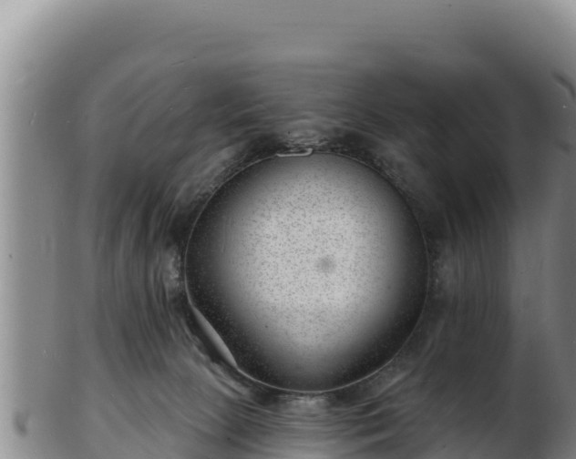 X0000103240081200809041056