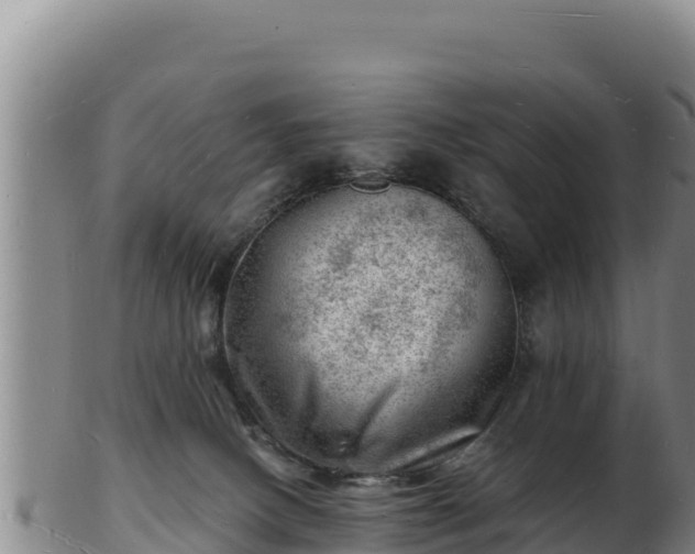 X0000103240082200809041056