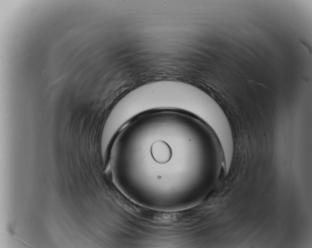 X0000103240084200809041056