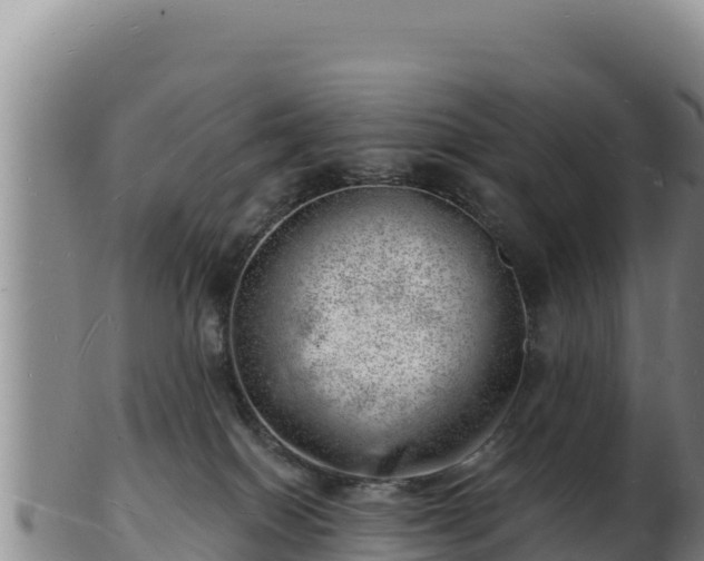 X0000103240086200809041056