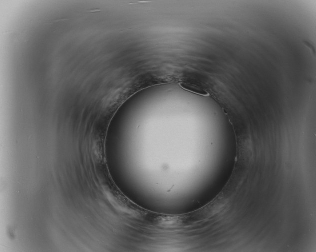 X0000103240088200809041056