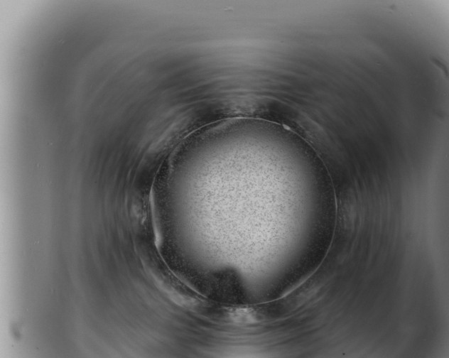 X0000103240091200809041056