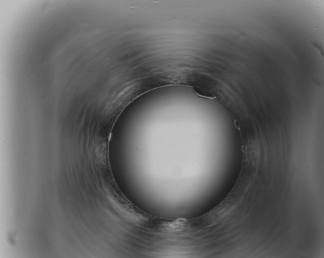 X0000103240092200809041056