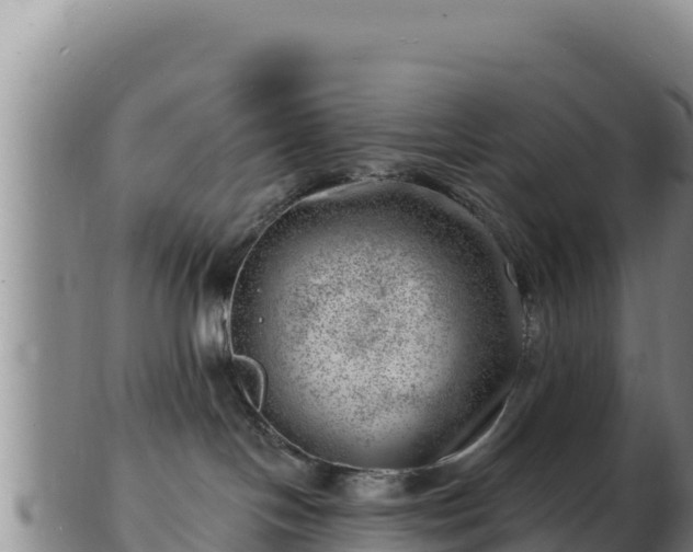 X0000103240094200809041056