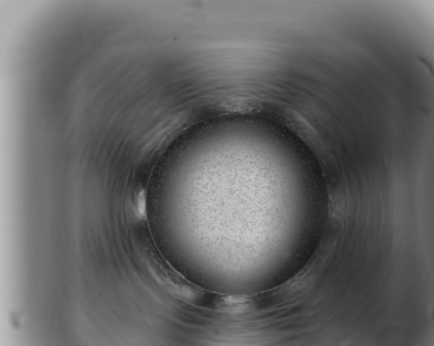 X0000103240095200809041056