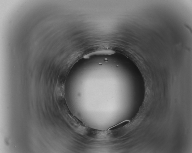 X0000103240096200809041056