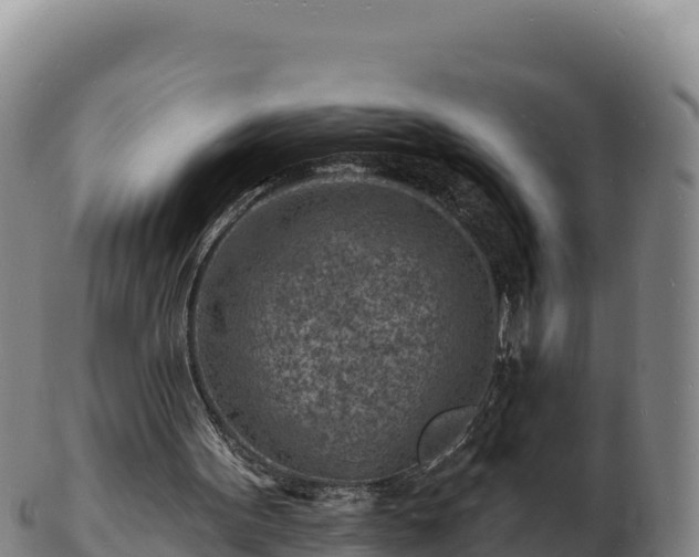 X0000103240099200809041056