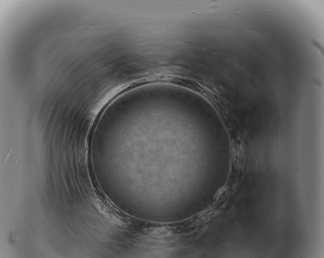 X0000103240100200809041056