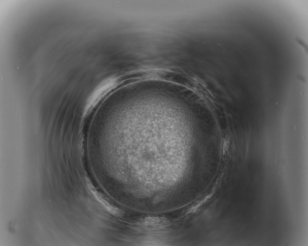 X0000103240101200809041056