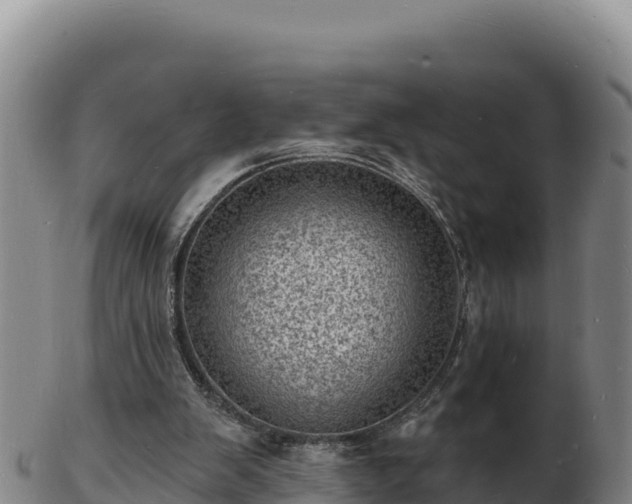 X0000103240103200809041056