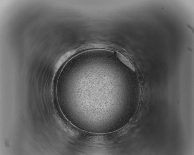 X0000103240104200809041056