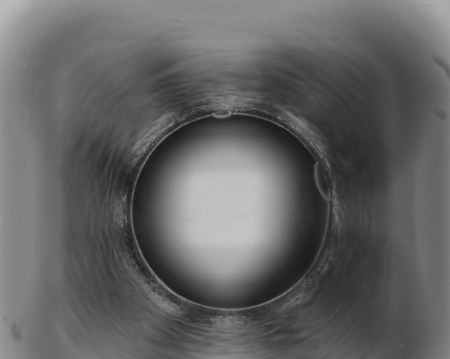 X0000103240105200809041056