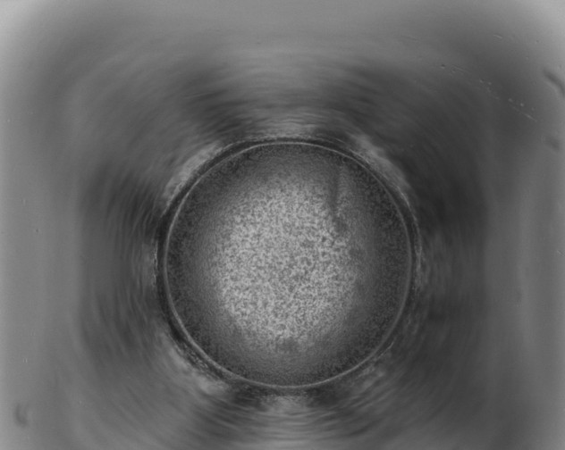 X0000103240107200809041056