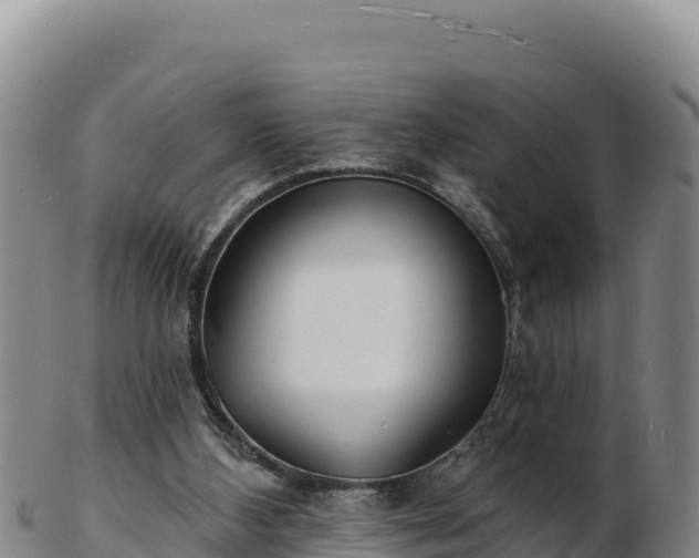 X0000103240108200809041056